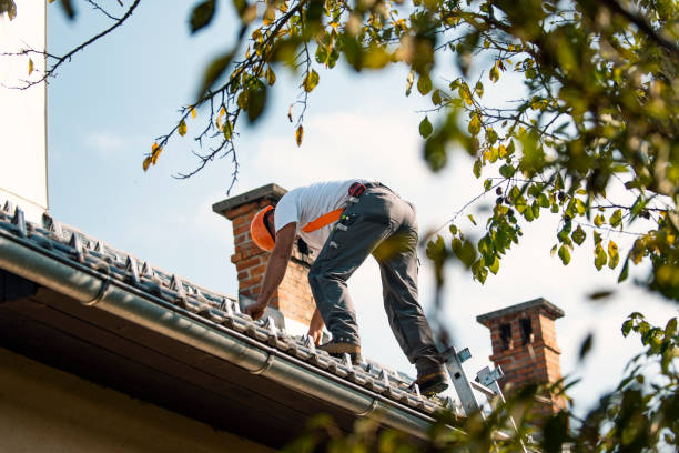 Best Green or Eco-Friendly Roofing Solutions  in Johnson City, NY