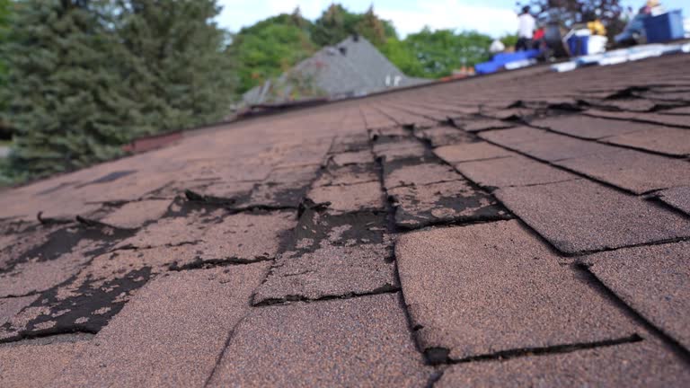 Best Roof Coating and Sealing  in Johnson City, NY