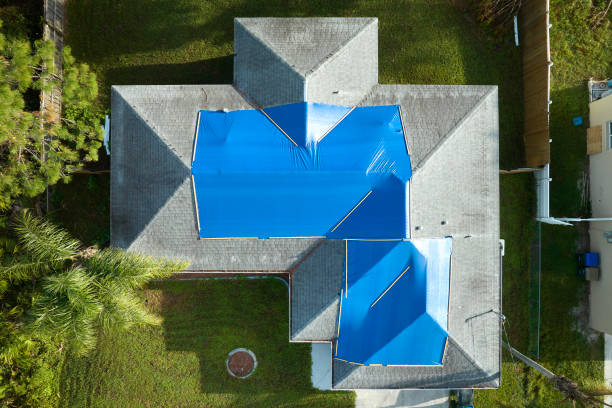 Best Chimney Flashing Repair  in Johnson City, NY