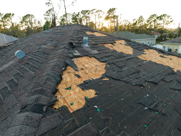 Best Roof Maintenance and Cleaning  in Johnson City, NY