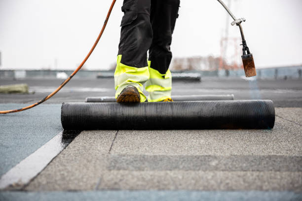 Best Roof Moss and Algae Removal  in Johnson City, NY