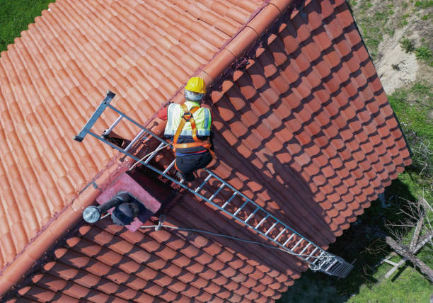Best Wood Shake Roofing  in Johnson City, NY