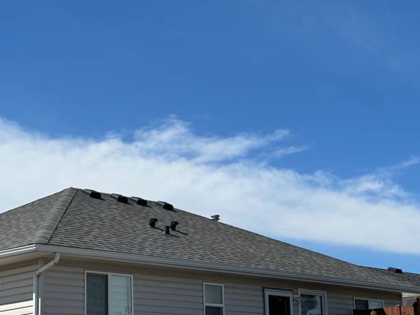 Asphalt Shingles Roofing in Johnson City, NY